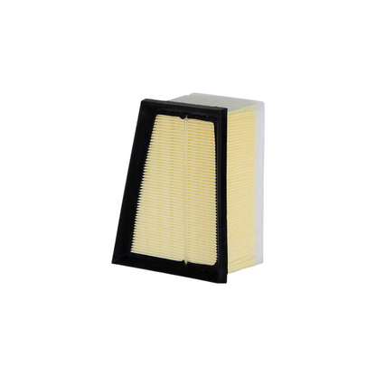 Kit Afinación Renault Kangoo 04-17 1.6l 4l B/iridium