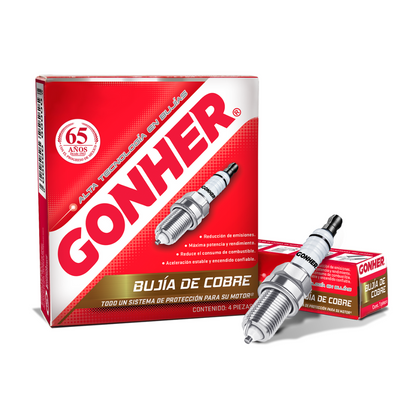 Kit Afinacion Ecosport 2004 2012 2.0l Bujía Gonher 20w50