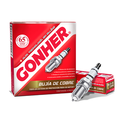 Kit Afinacion Ford Fiesta 2003-2010 1.6 20w50 Bujía Gonher