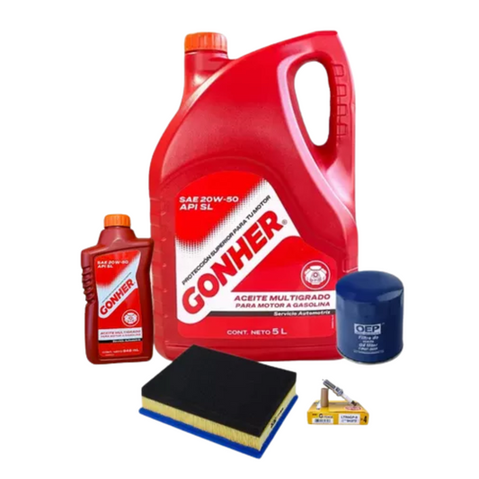 Kit De Afinacion Edge 2017 2.0l Turbo Buj. Platino Gonher